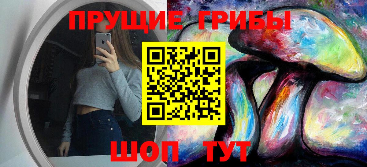 Псилоцибиновые грибы Psilocybine cubensis Карасук