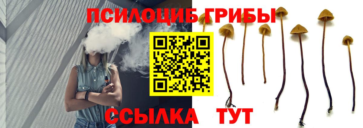 Галлюциногенные грибы GOLDEN TEACHER  Галлюциногенные грибы Cubensis  Карасук  где купить наркотик  Вход с VPN 
