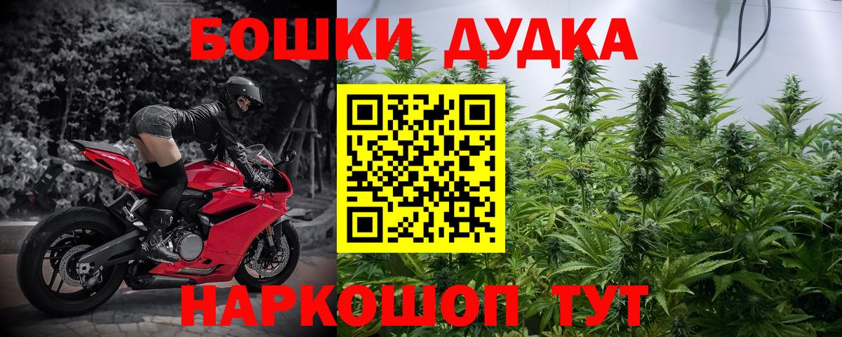 Каннабис SATIVA & INDICA Карасук